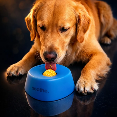 Slow Feeder