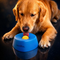 Slow Feeder