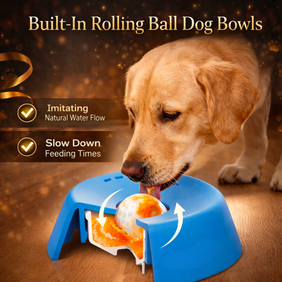 Slow Feeder
